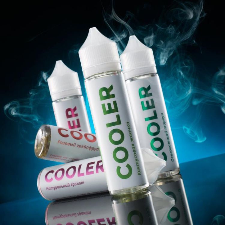 Жидкость Cooler Salt - Кактусовая жвачка 60мл 
