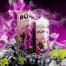 Born NEW - Смородина + ежевика