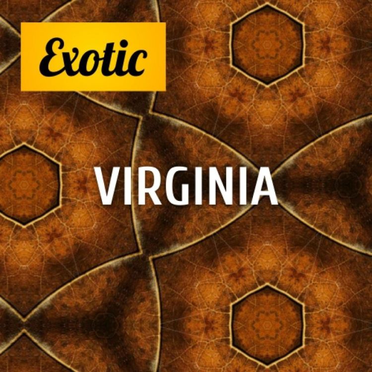 Exotic VIRGINIA 10мл